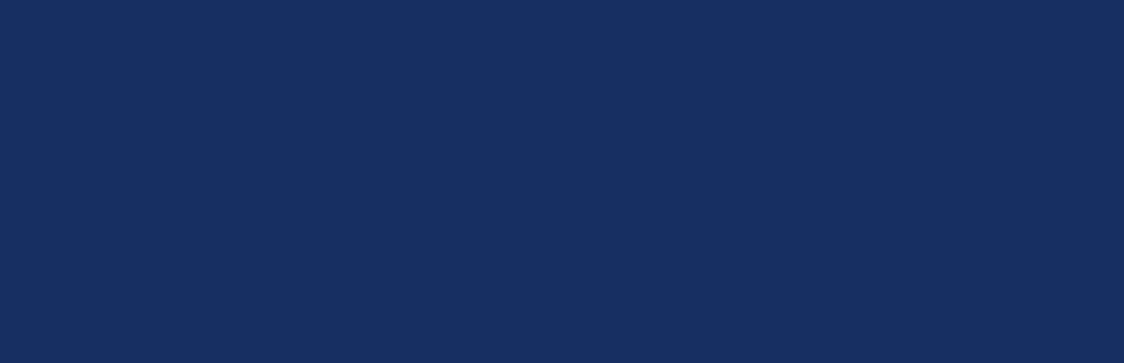 Logo BrainPro