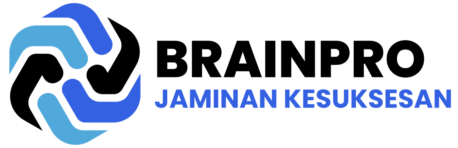 Logo BrainPro